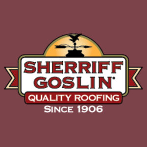 District® Women’s Perfect Tri® V-Neck Tee Design