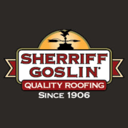 Nike Tech Sport Dri-FIT Polo Design